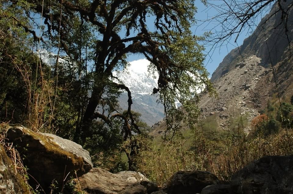 langtang-lirung-mountain-tamang-heritage-trail-and-langtang-trek