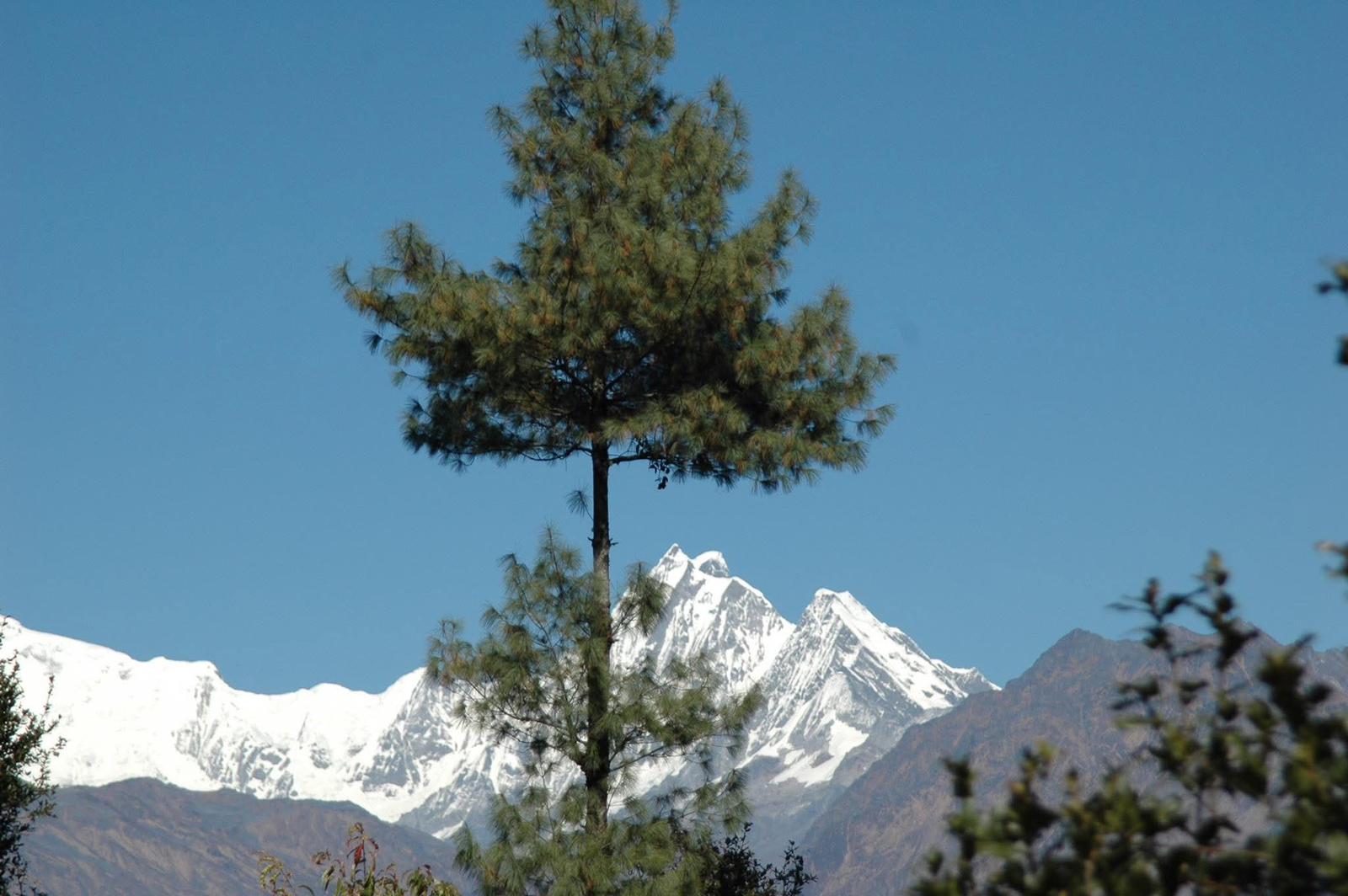 langtang-lirung