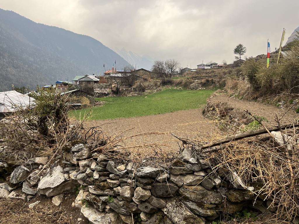 tsun-valley-nepal-rice-terrace