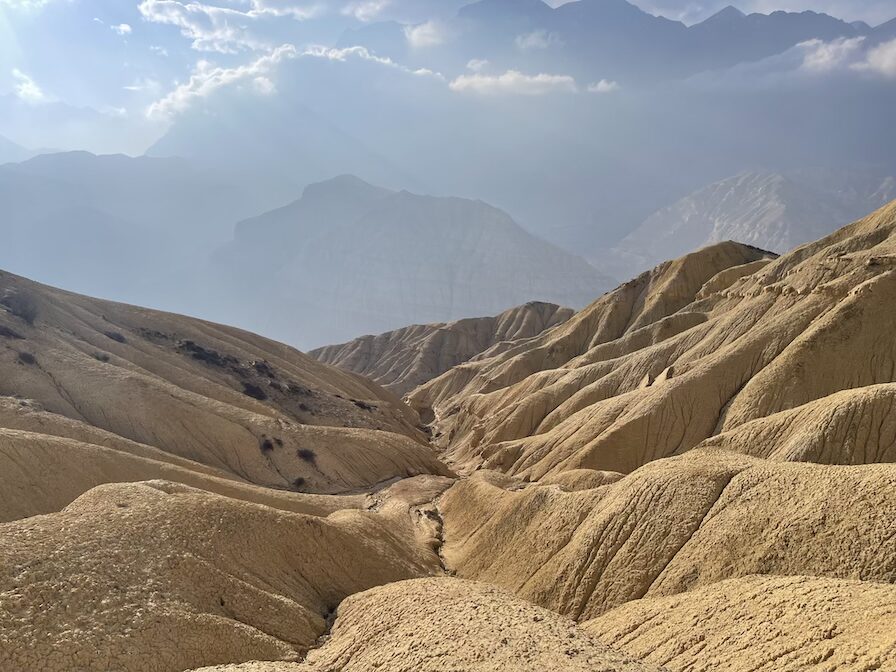 vegitation-upper-mustang