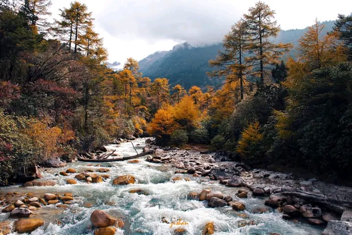 trek nepal kanchenjunga