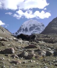 tibet kailash