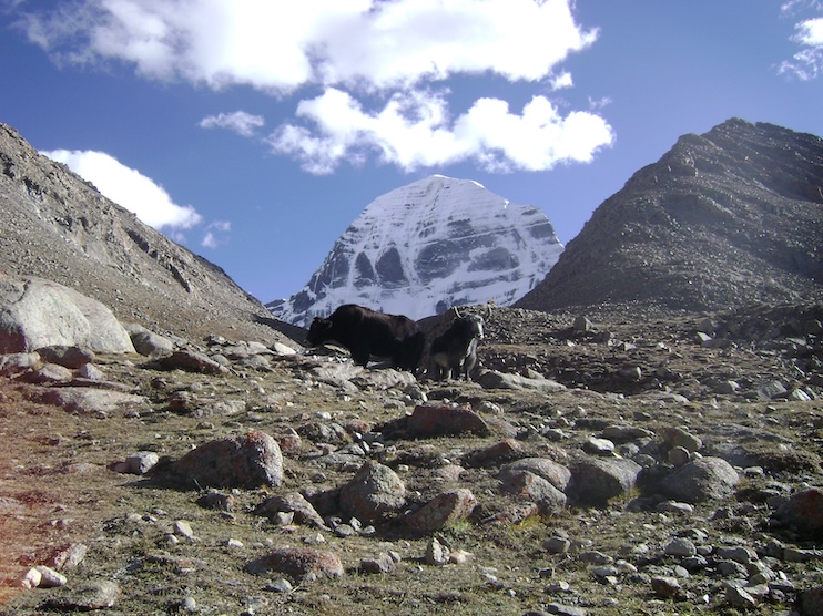 tibet kailash